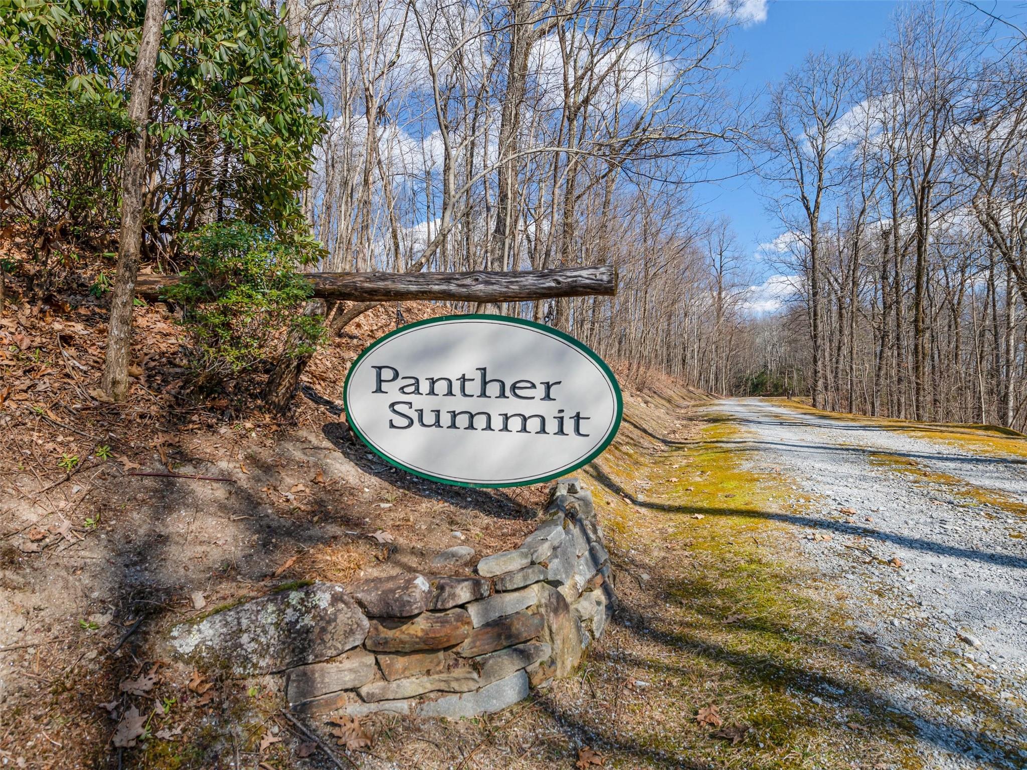 P 1&2 Panther Summit Drive Property Photo 1