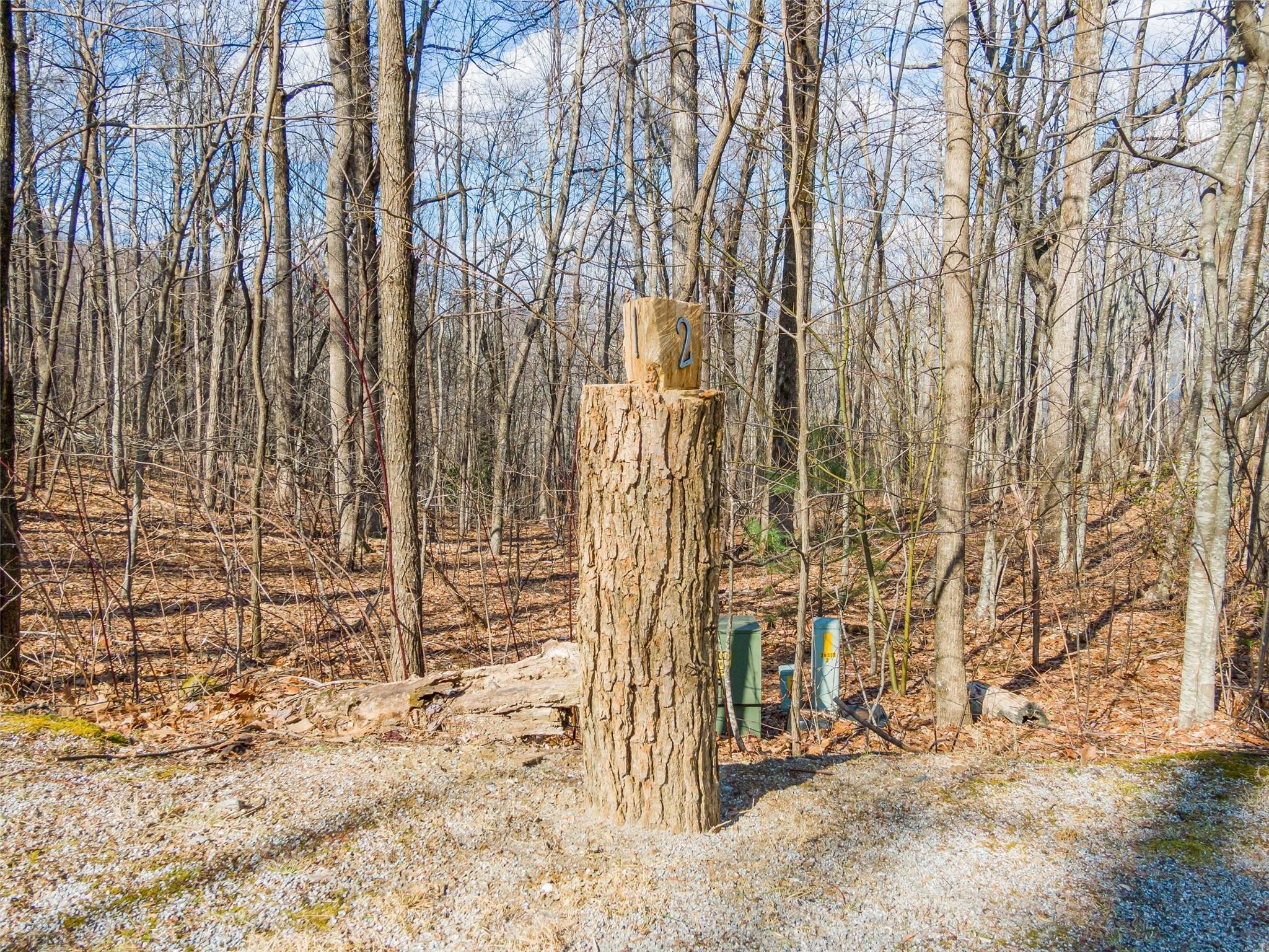 P 1&2 Panther Summit Drive Property Photo 2