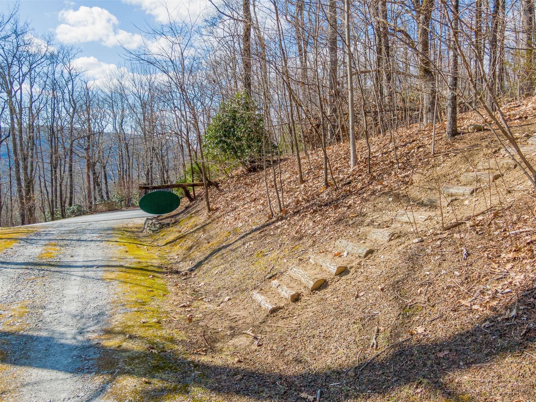 P 1&2 Panther Summit Drive Property Photo 3