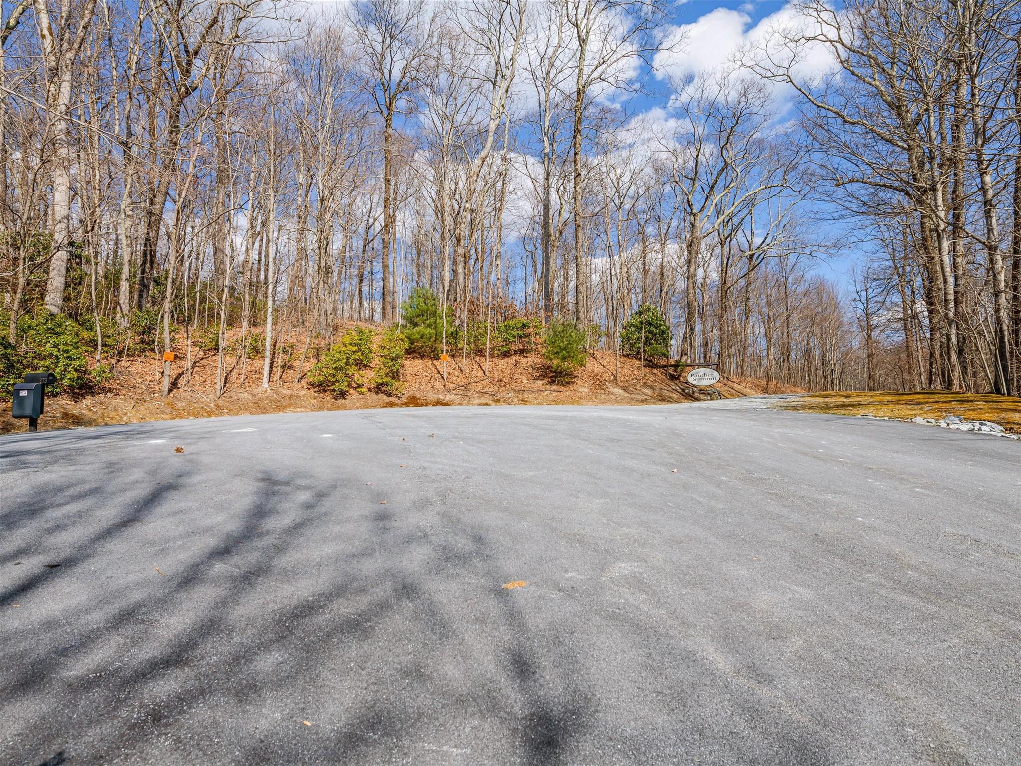 P 1&2 Panther Summit Drive Property Photo 5