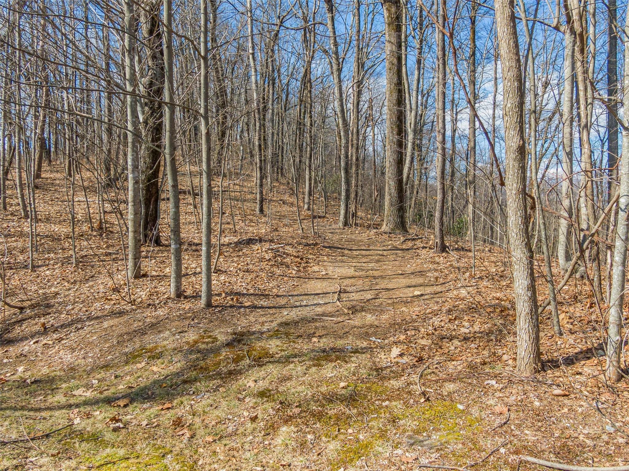 P 1&2 Panther Summit Drive Property Photo 6