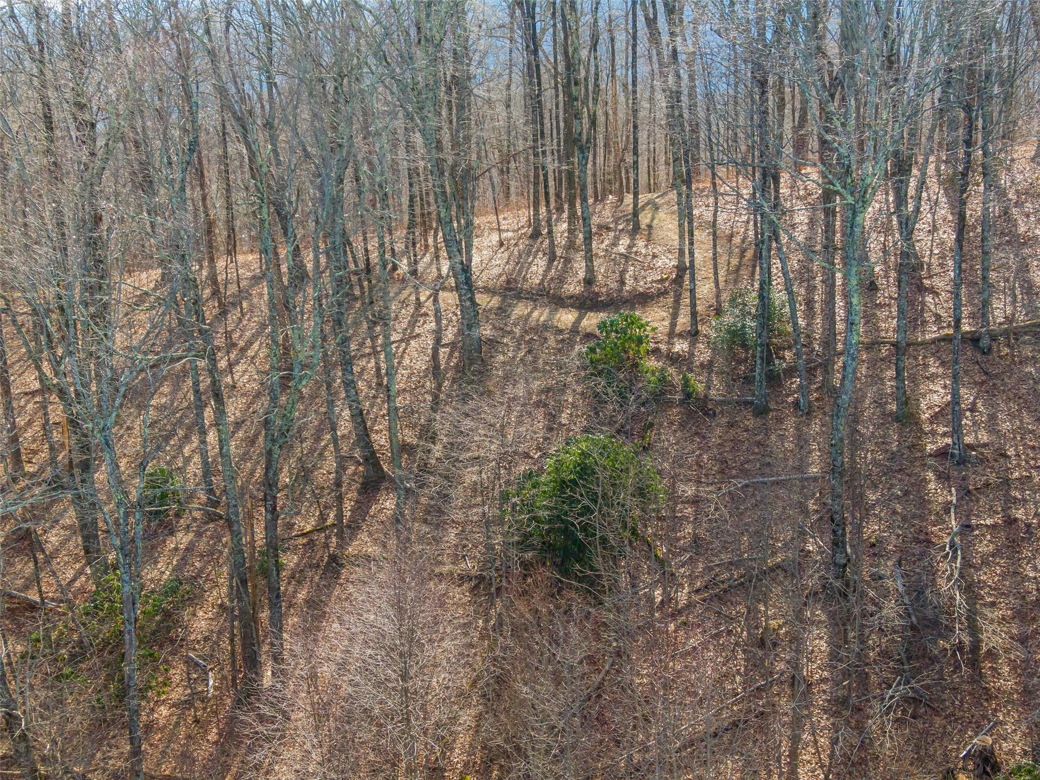P 1&2 Panther Summit Drive Property Photo 18