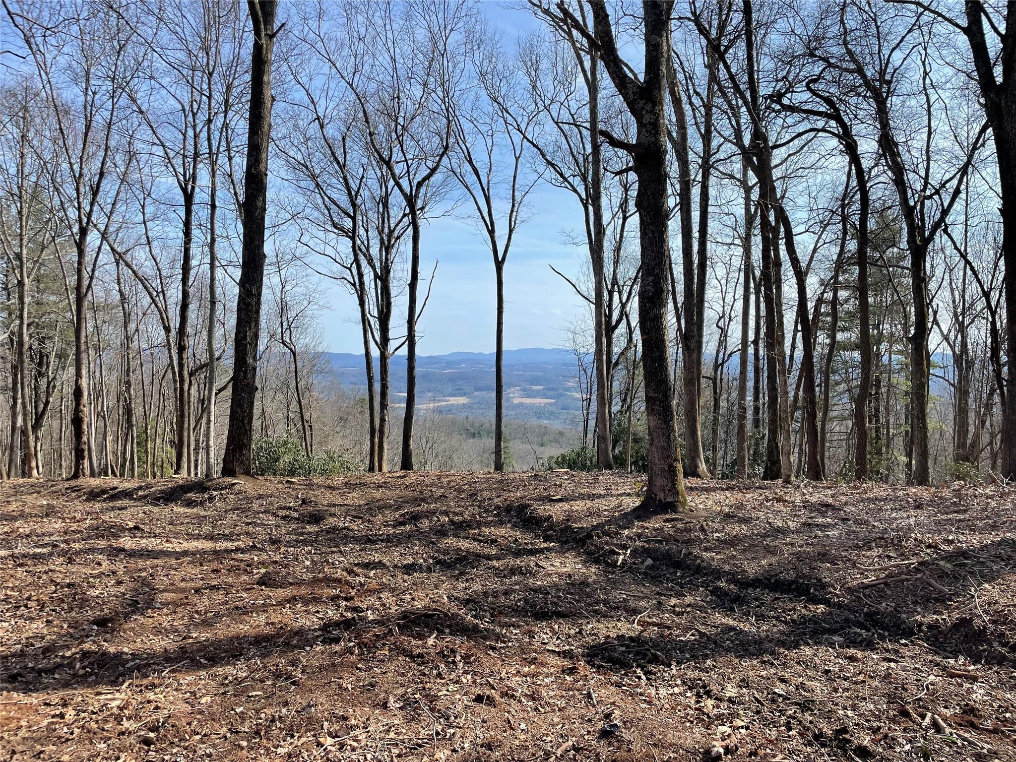 0000 East Garden Trail Property Photo 3