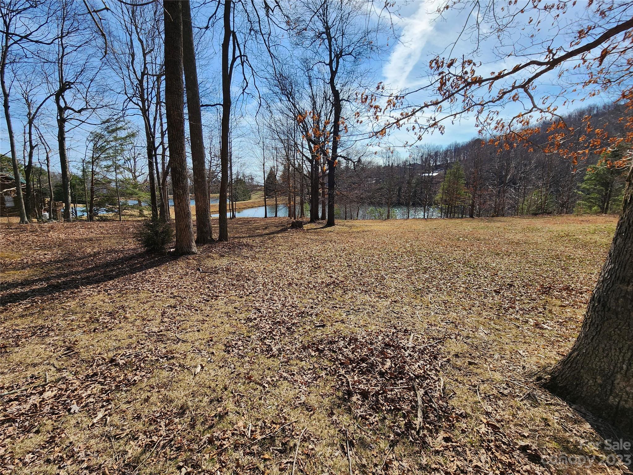 Lot 77 Three Bridges Drive Property Photo 3