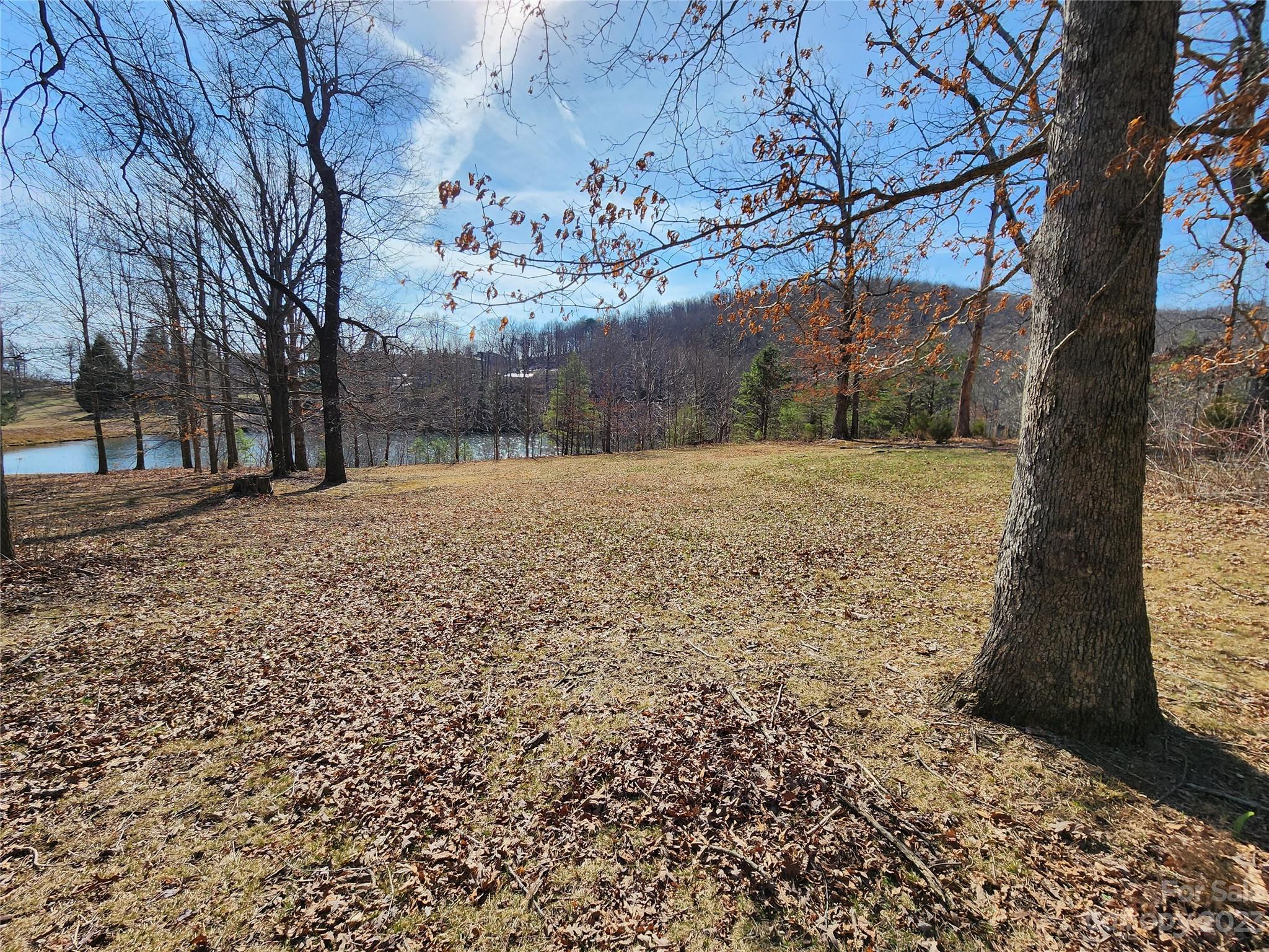 Lot 77 Three Bridges Drive Property Photo 4