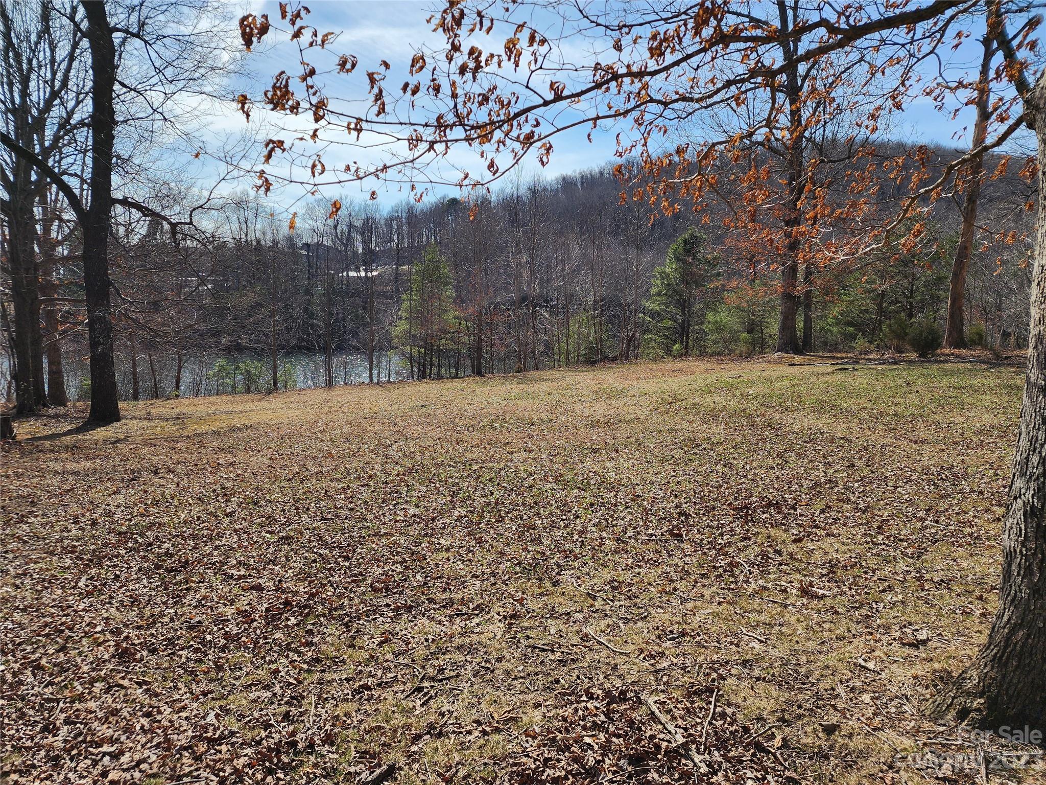Lot 77 Three Bridges Drive Property Photo 5