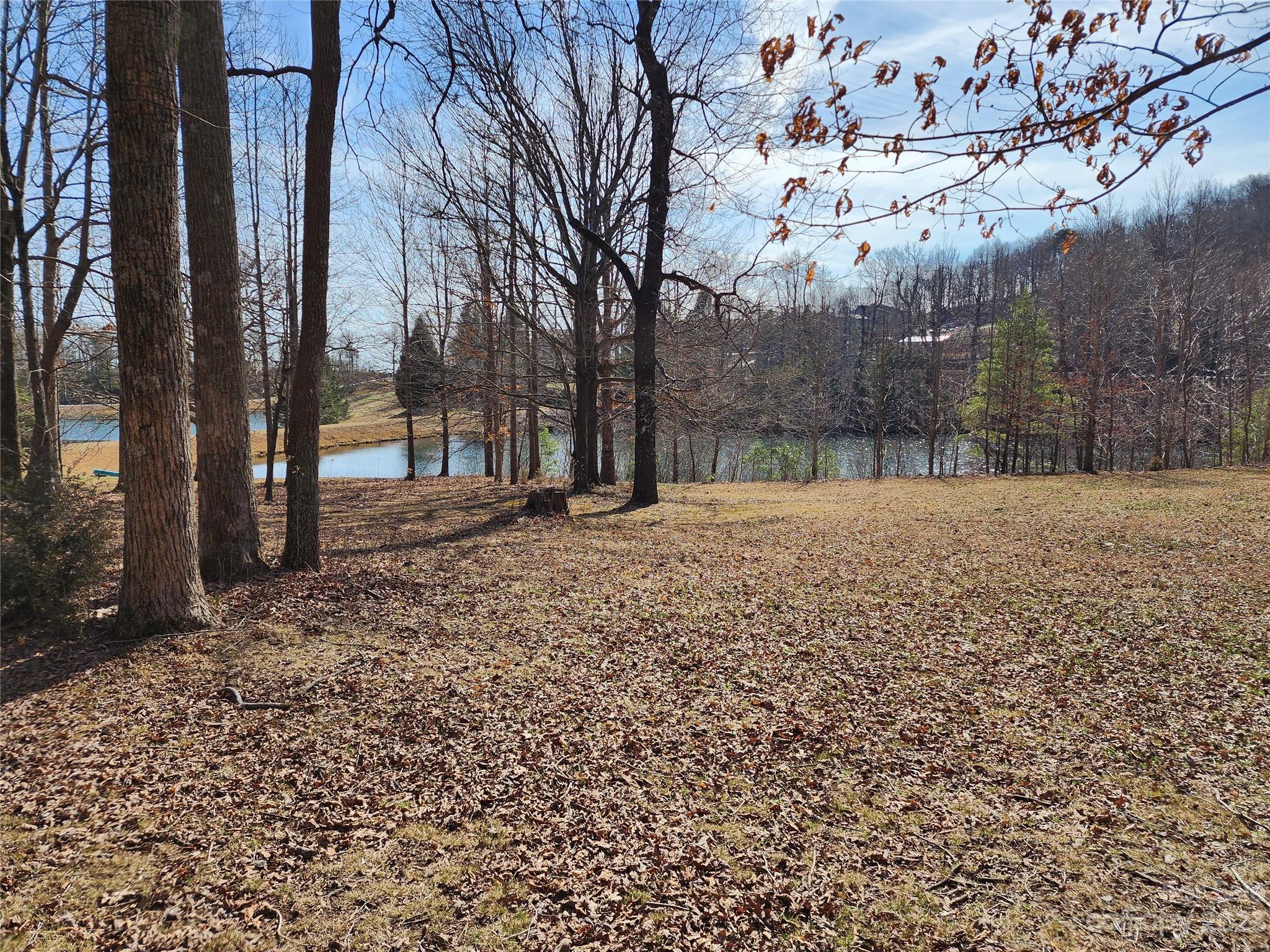 Lot 77 Three Bridges Drive Property Photo 6