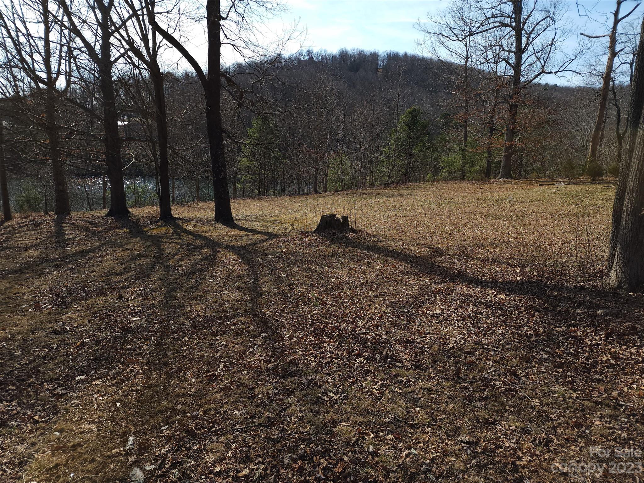 Lot 77 Three Bridges Drive Property Photo 9