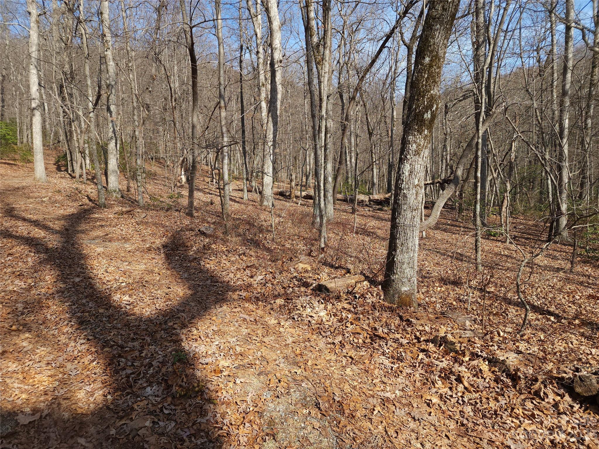 Lot 77 Three Bridges Drive Property Photo 14