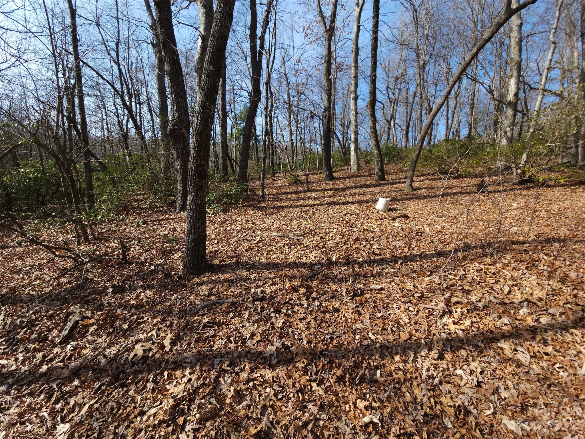 Lot 77 Three Bridges Drive Property Photo 16