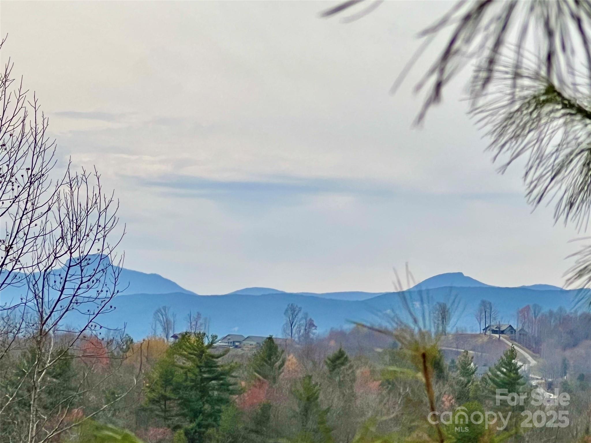 2.1 Acre Lot 930 Soaring Top Lane Lot 930 Property Photo