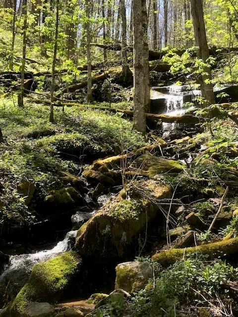 976 Slippery Rock Road Property Photo 1