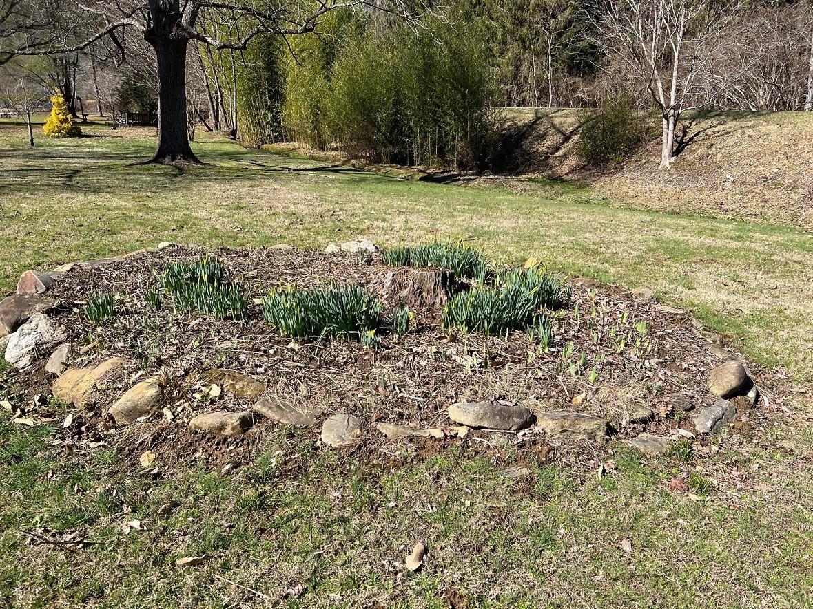 621 Stecoah Road Property Photo 34