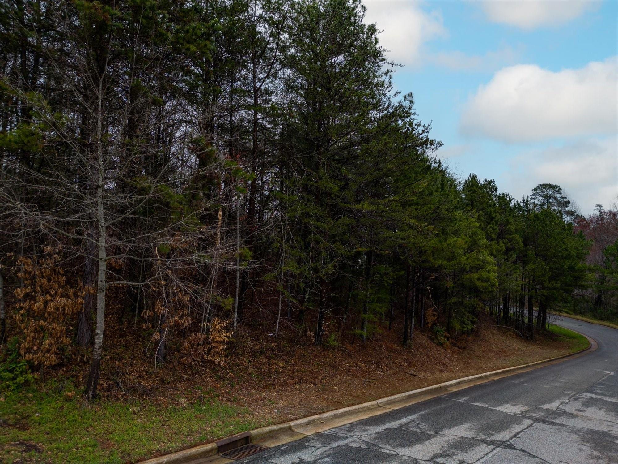 4060 Steve Ikerd Drive Property Photo 1