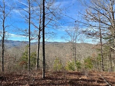 305 Raccoon Run 25 Property Photo 2
