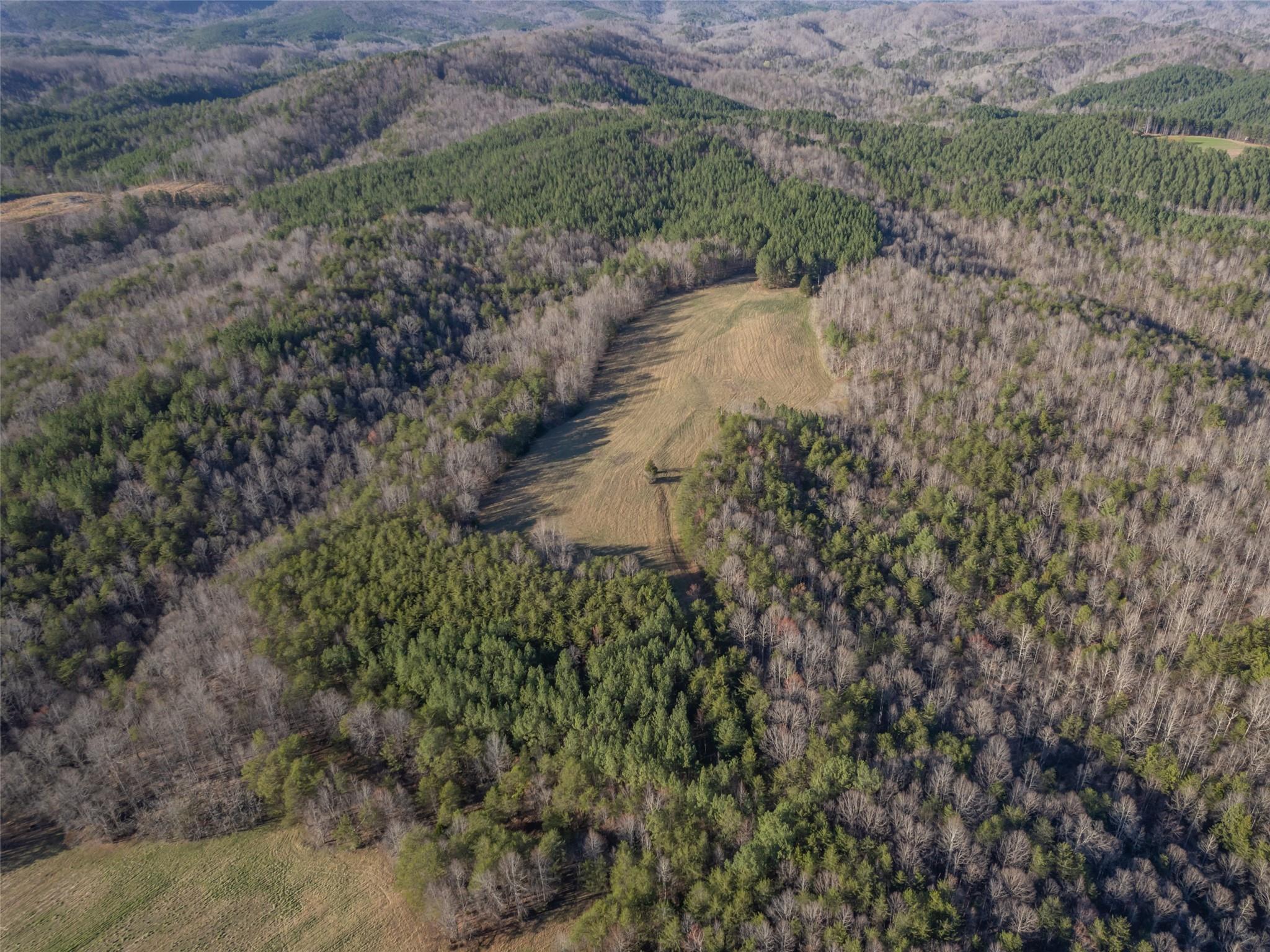 0 Frog Creek Road Property Photo 2