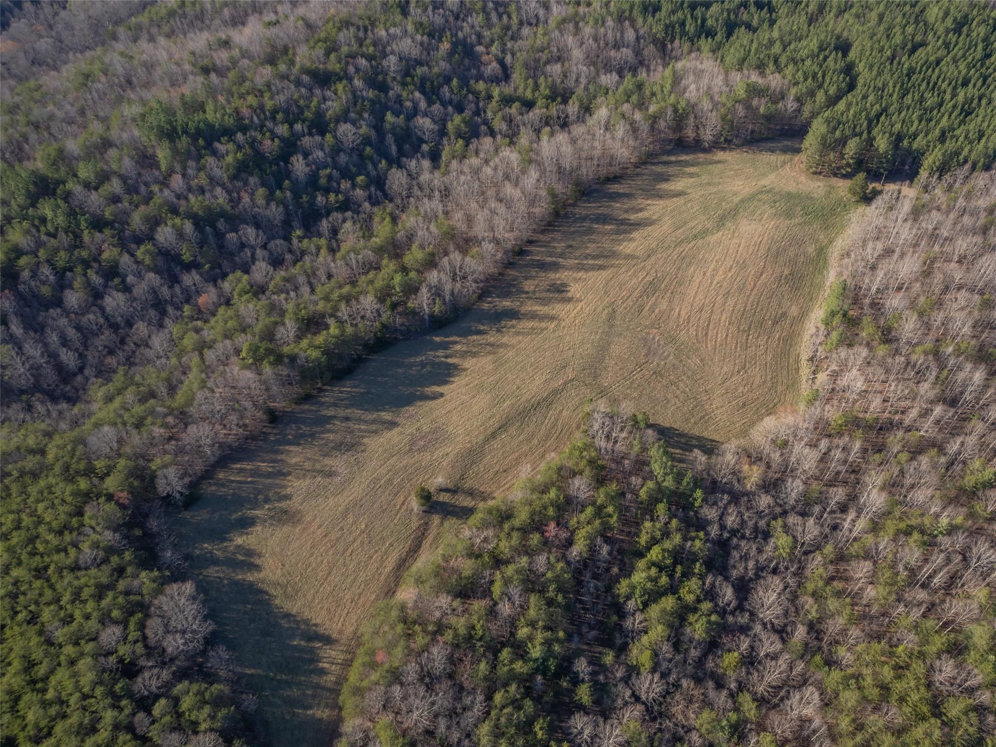 0 Frog Creek Road Property Photo 6