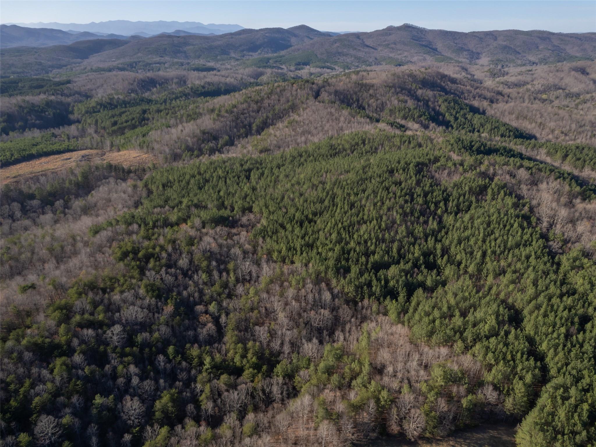 0 Frog Creek Road Property Photo 7