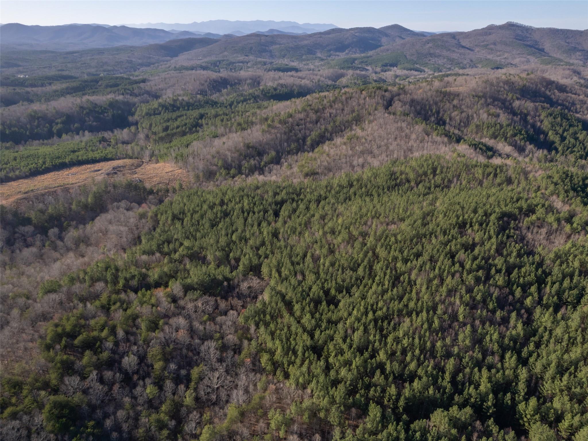 0 Frog Creek Road Property Photo 8