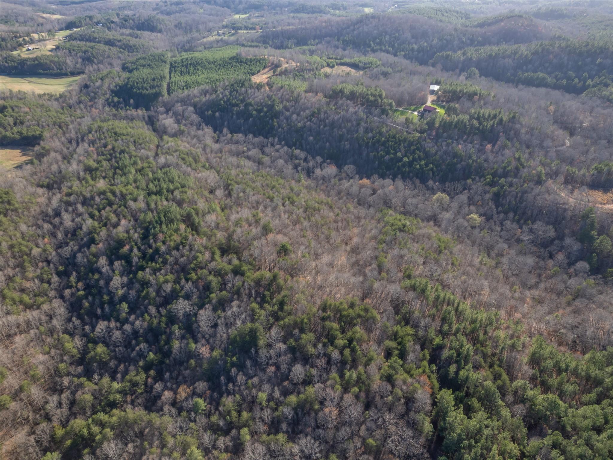 0 Frog Creek Road Property Photo 10