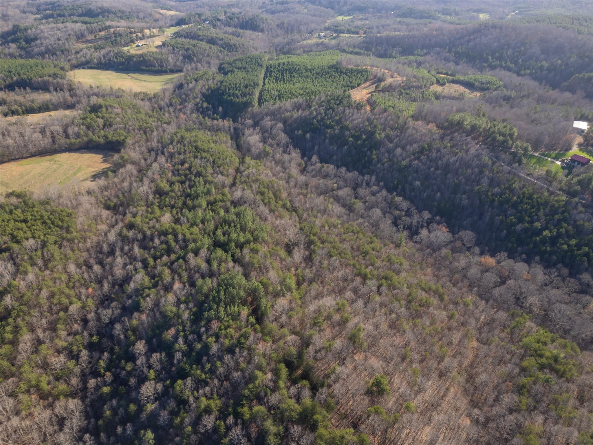 0 Frog Creek Road Property Photo 11