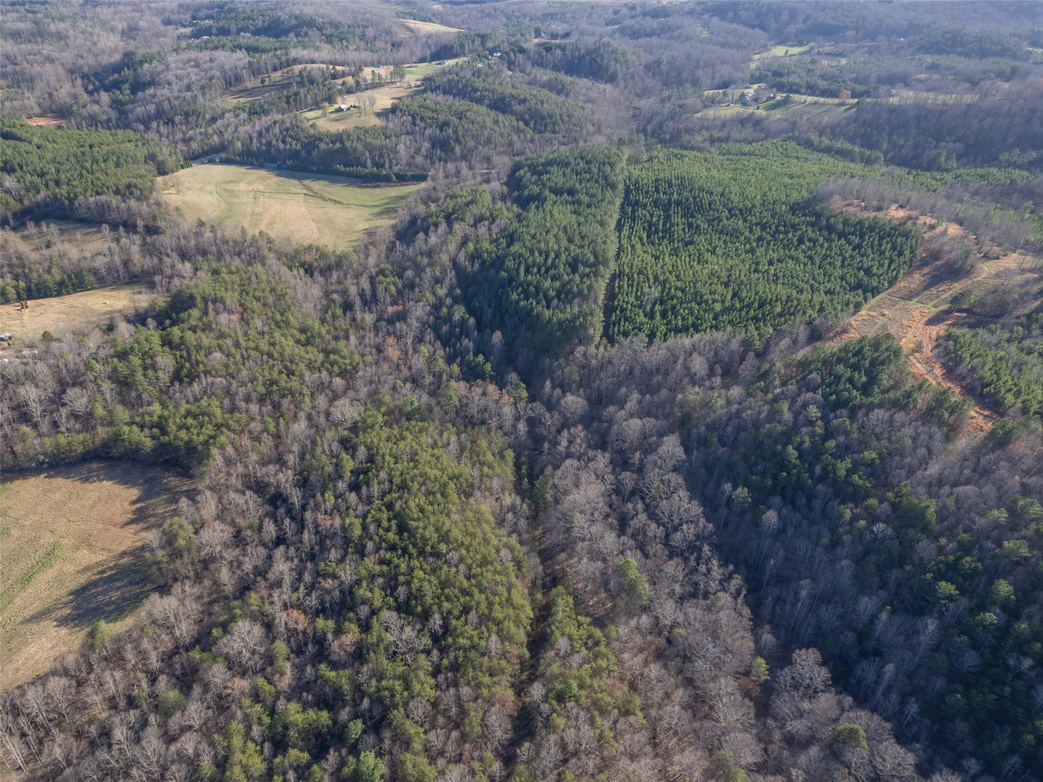 0 Frog Creek Road Property Photo 12