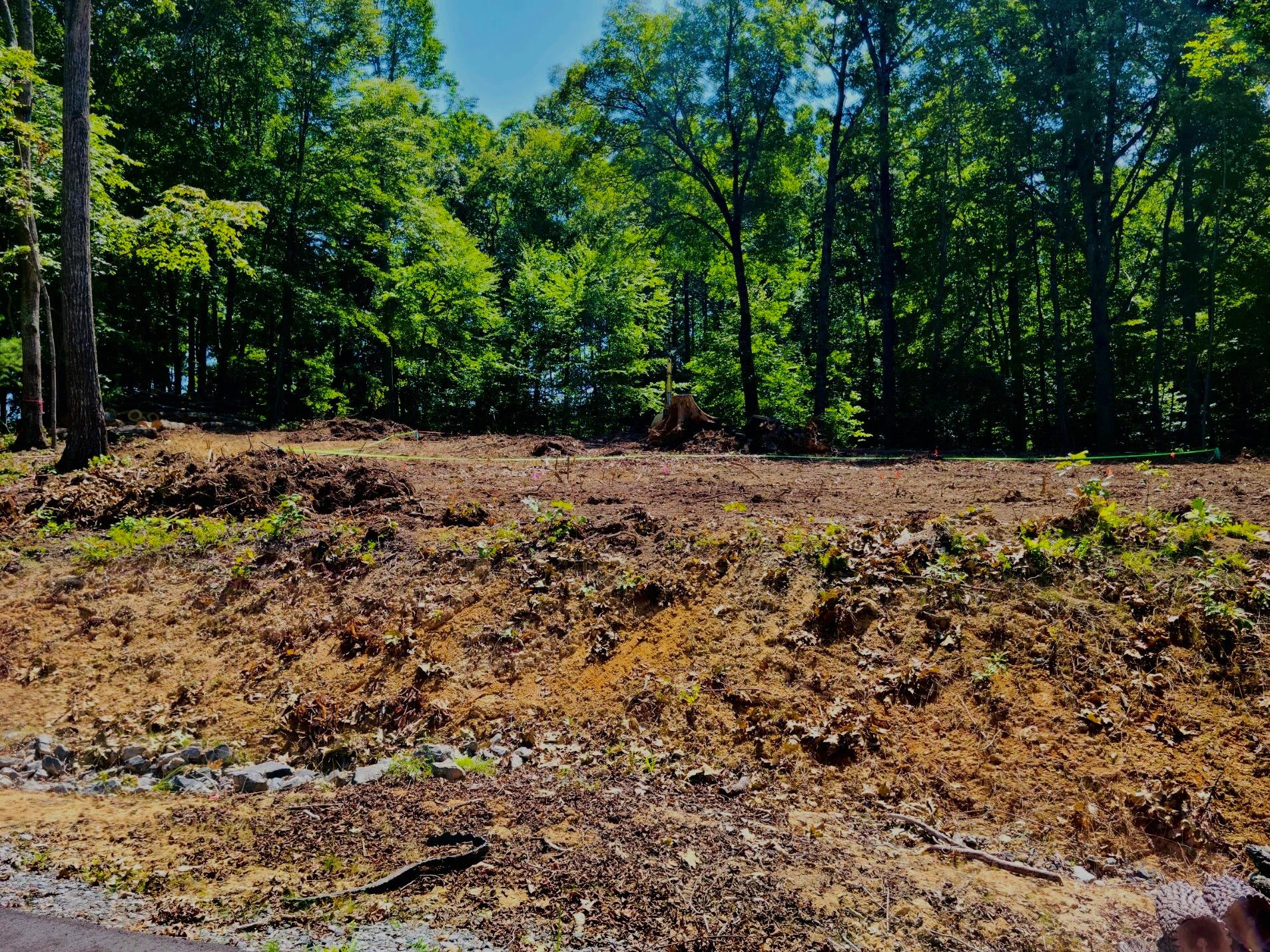 55 Standing Deer Trail Property Photo 11
