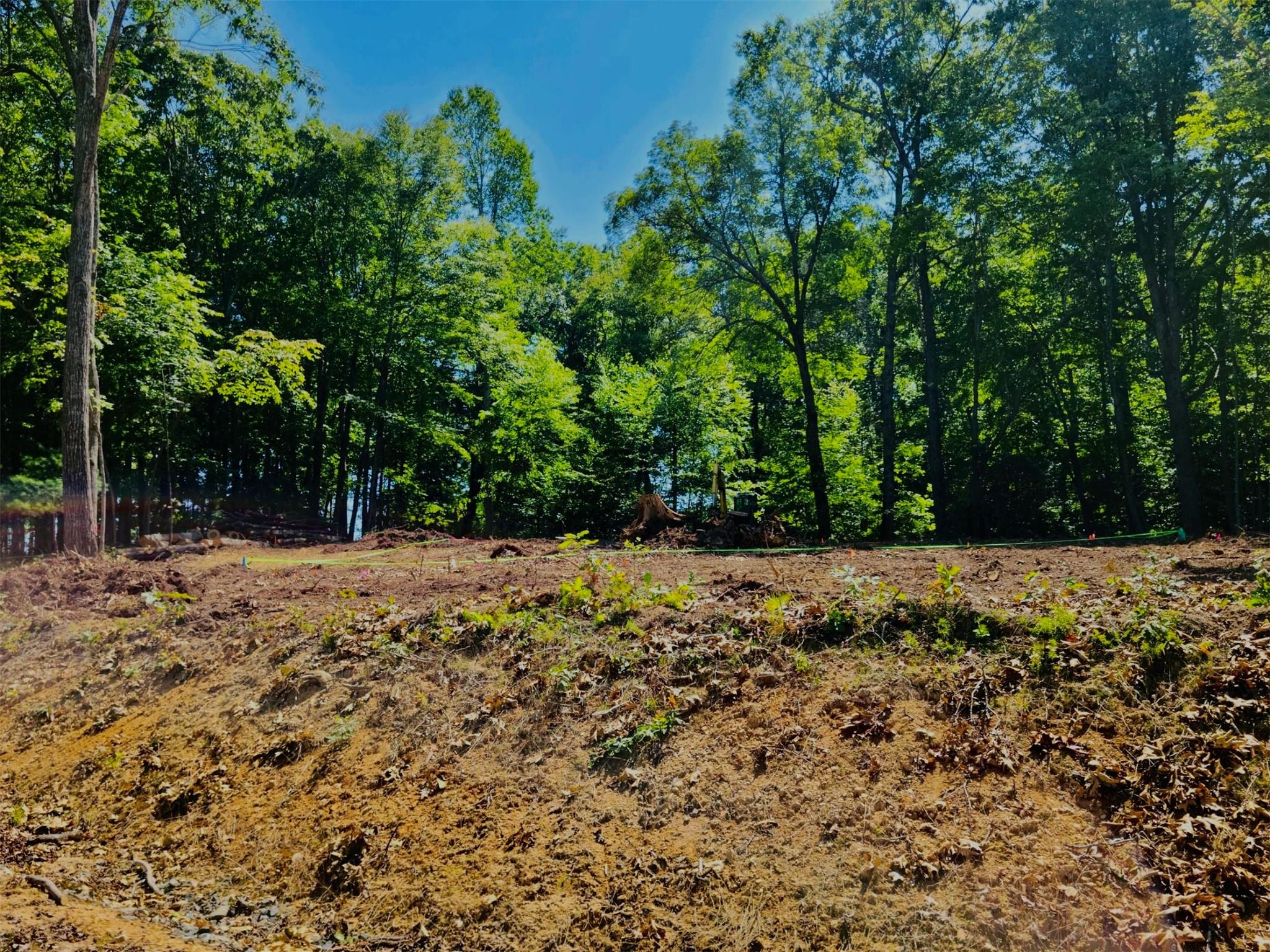 55 Standing Deer Trail Property Photo 12