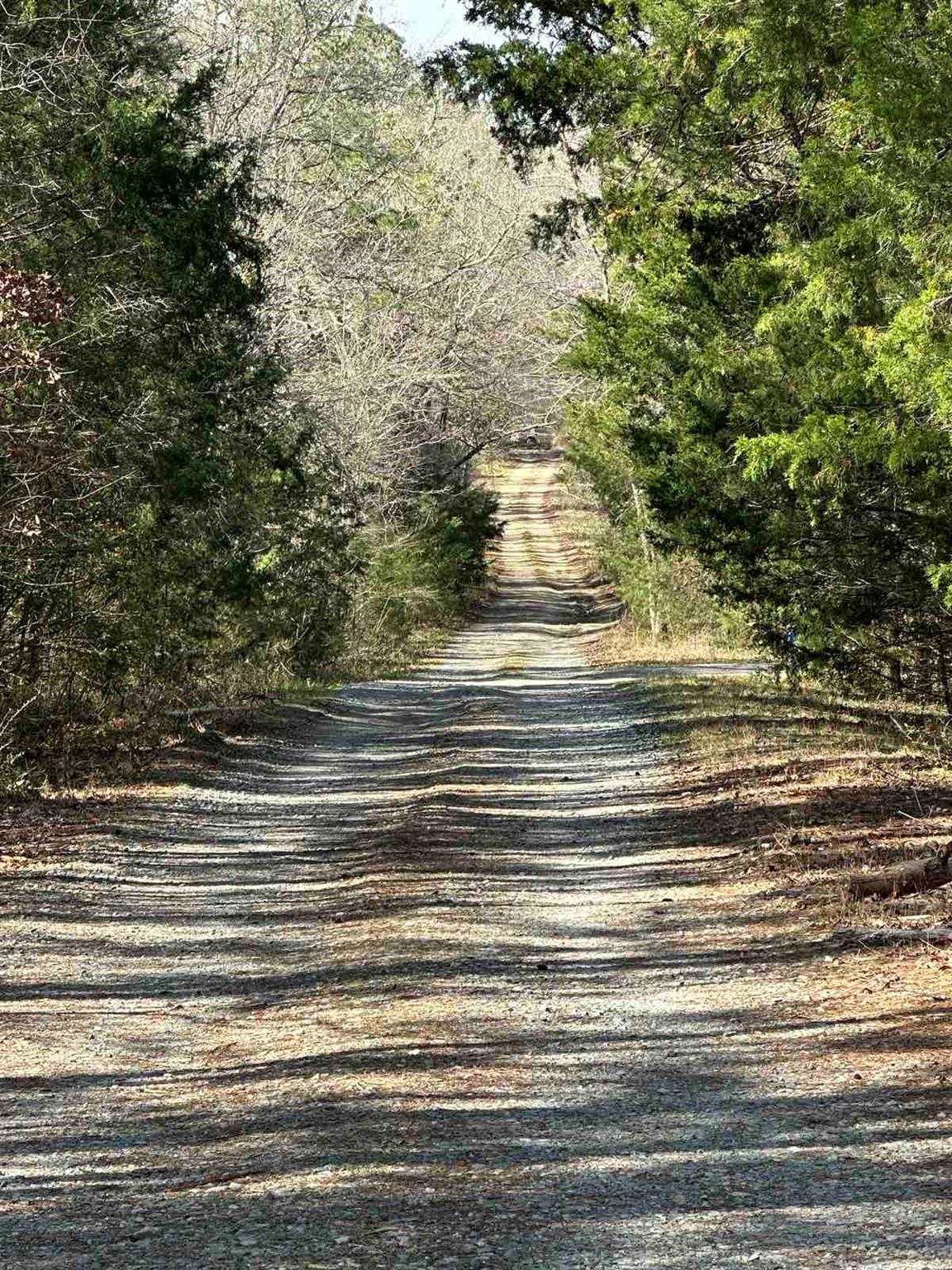 9240 Maggie Robinson Road Property Photo 1