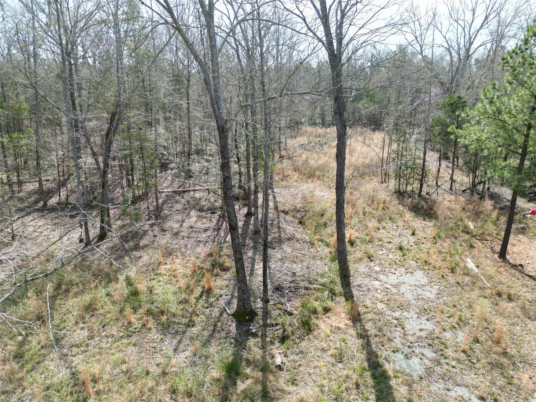 9240 Maggie Robinson Road Property Photo 2