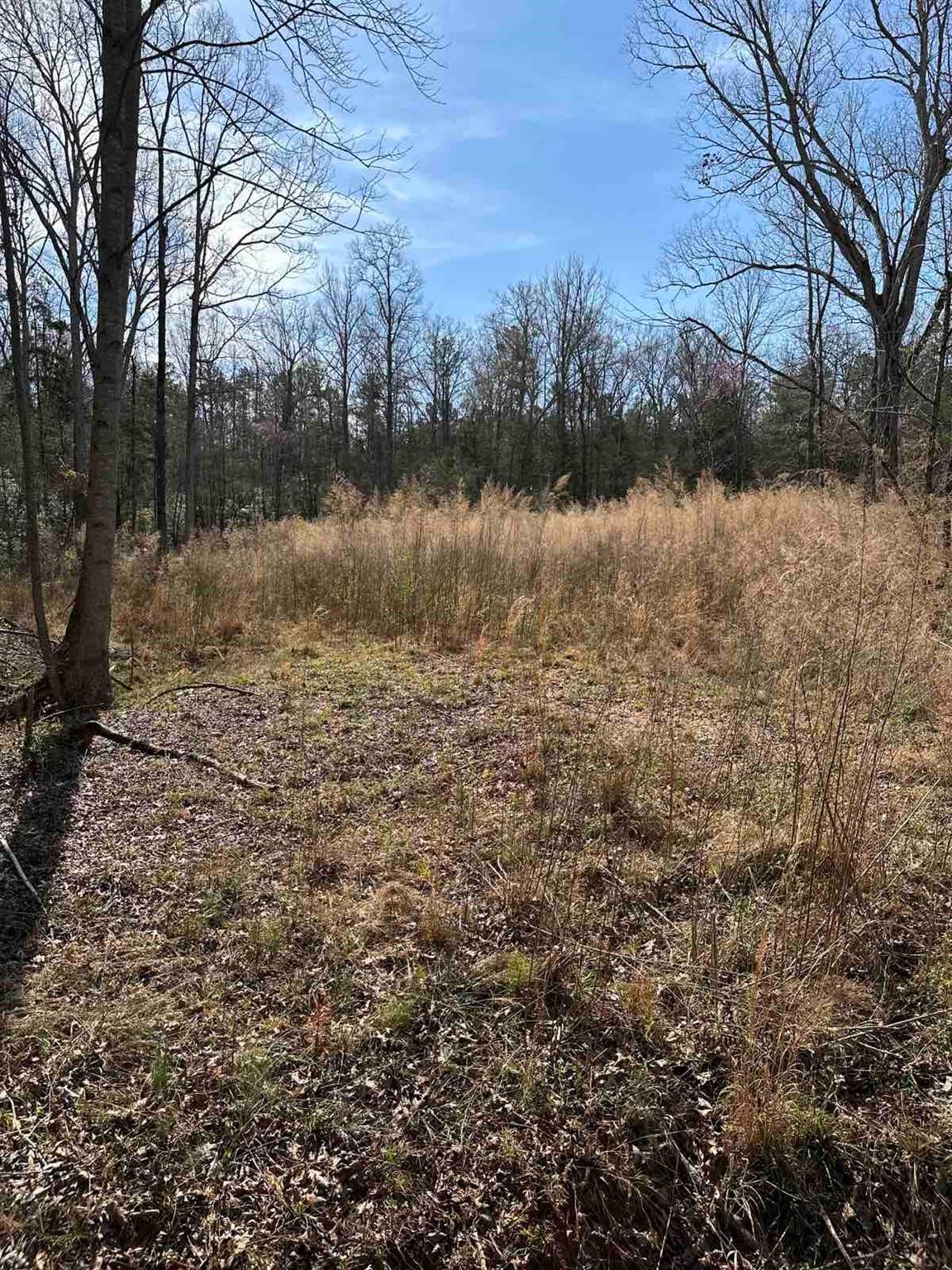 9240 Maggie Robinson Road Property Photo 3