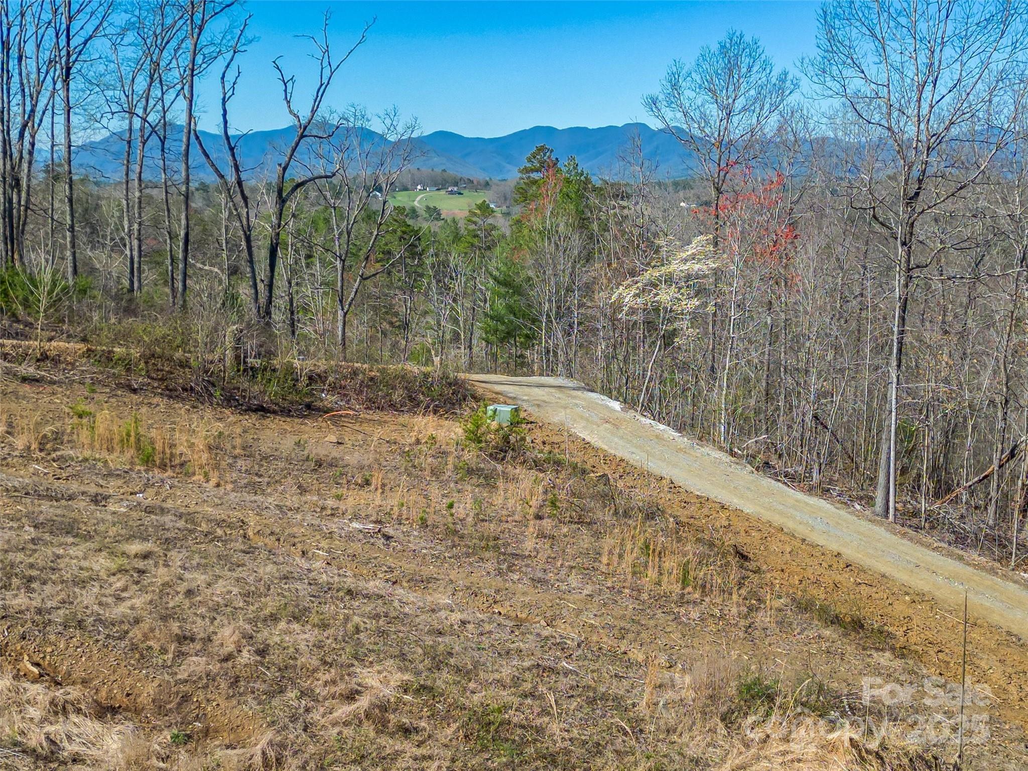 138 Saddle Ridge Drive 12 Property Photo 6