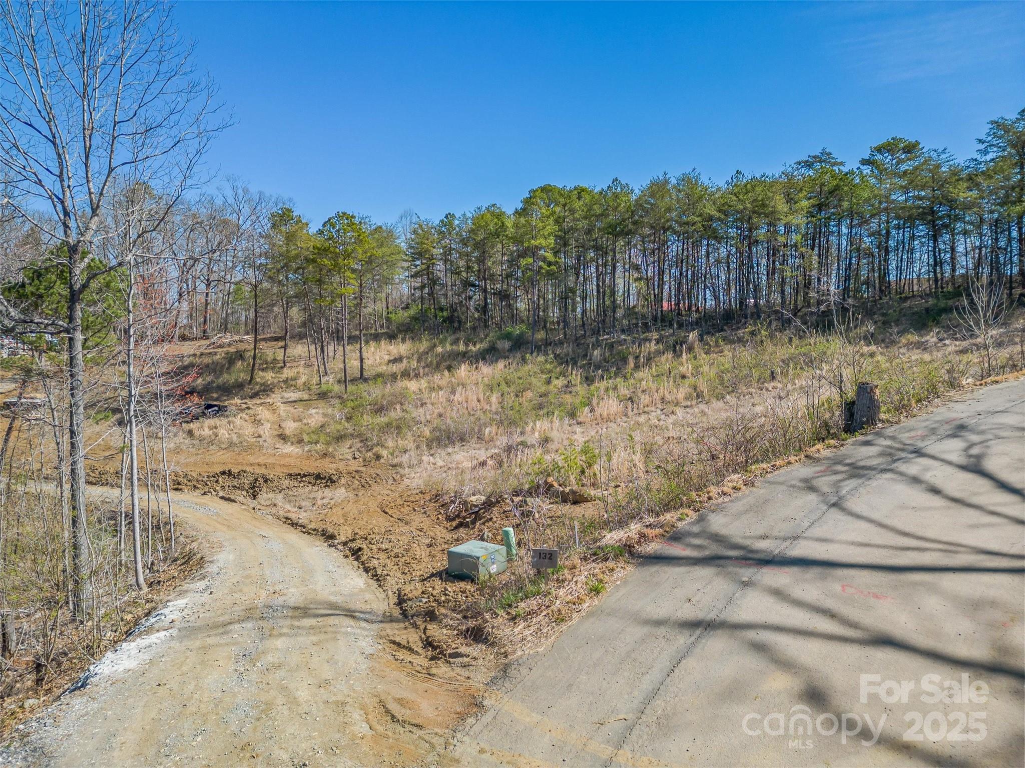 138 Saddle Ridge Drive 12 Property Photo 8