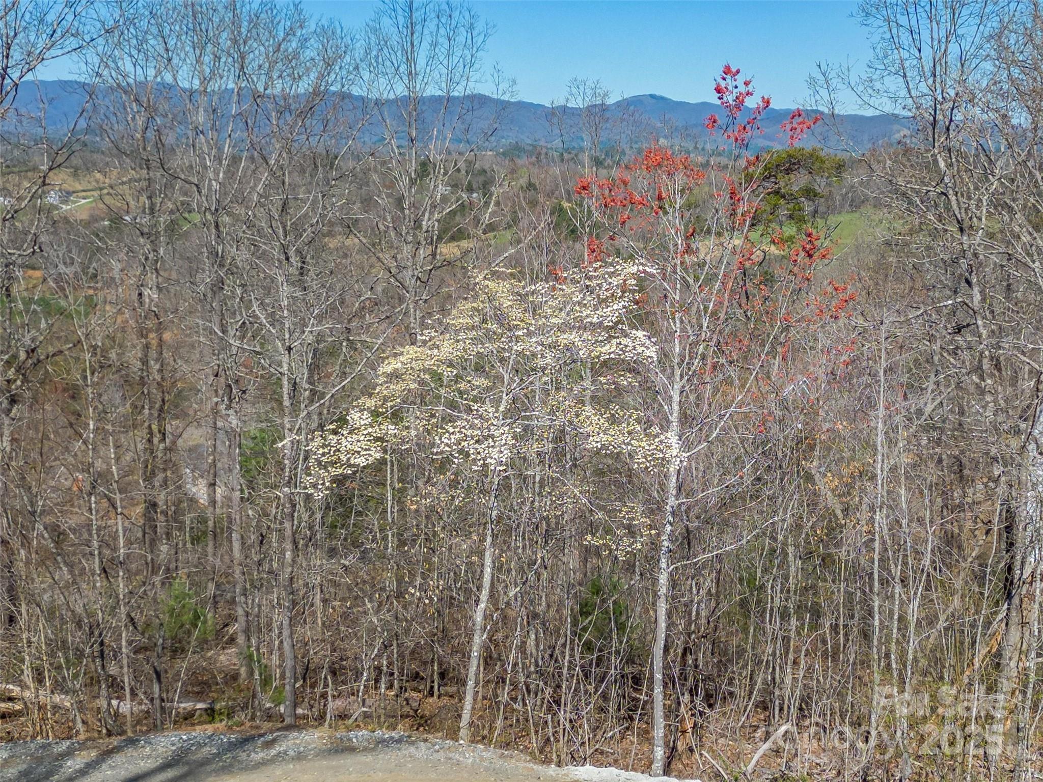 138 Saddle Ridge Drive 12 Property Photo 15