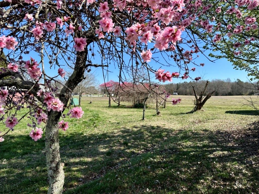4085 W Nc 152 Highway Property Photo 35
