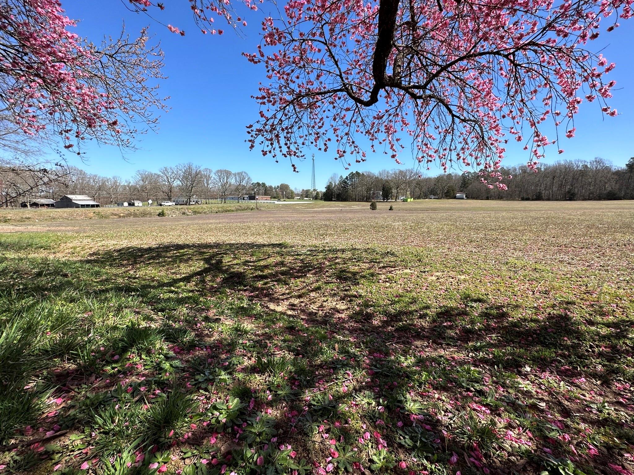 4085 W Nc 152 Highway Property Photo 38