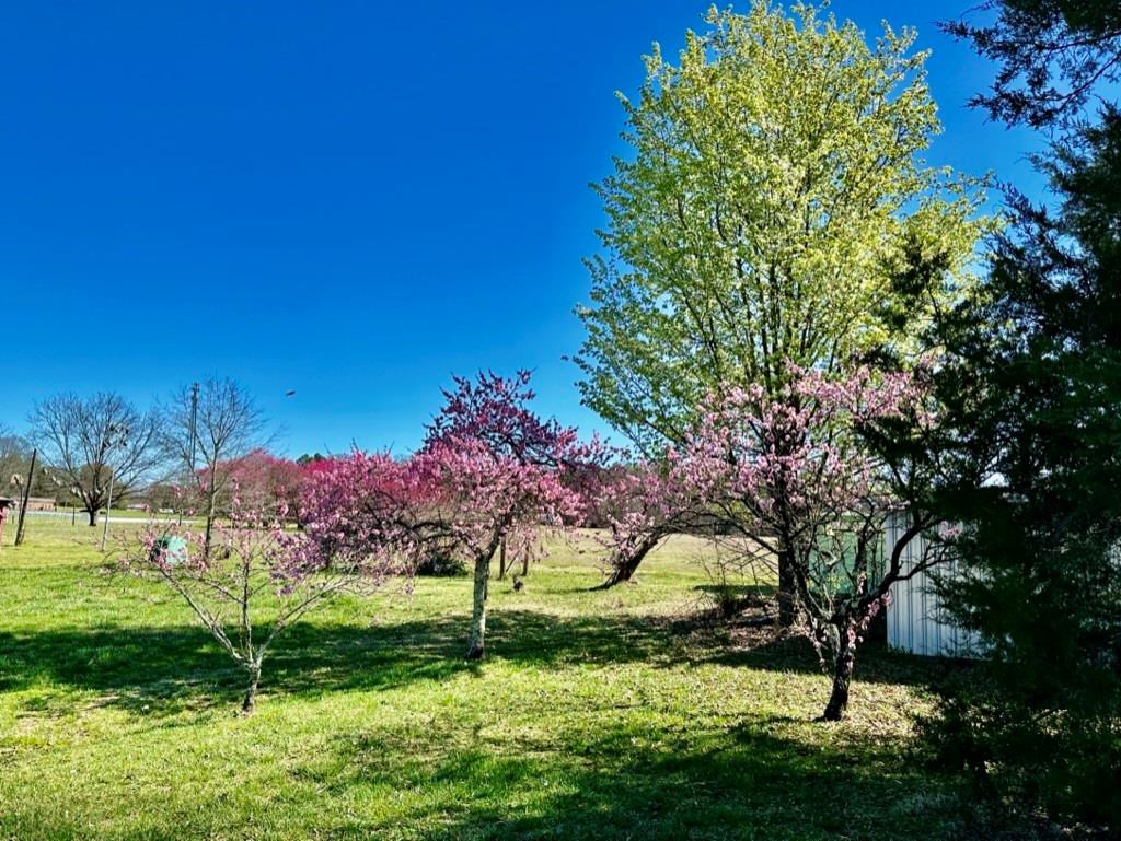 4085 W Nc 152 Highway Property Photo 40