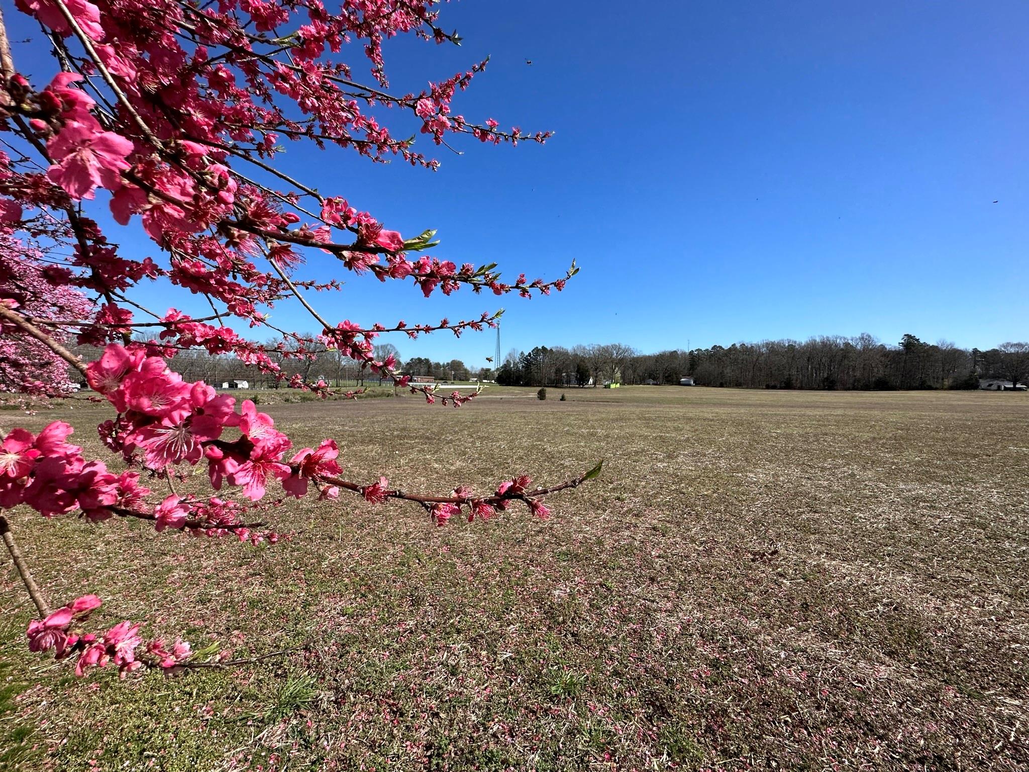 4085 W Nc 152 Highway Property Photo 42