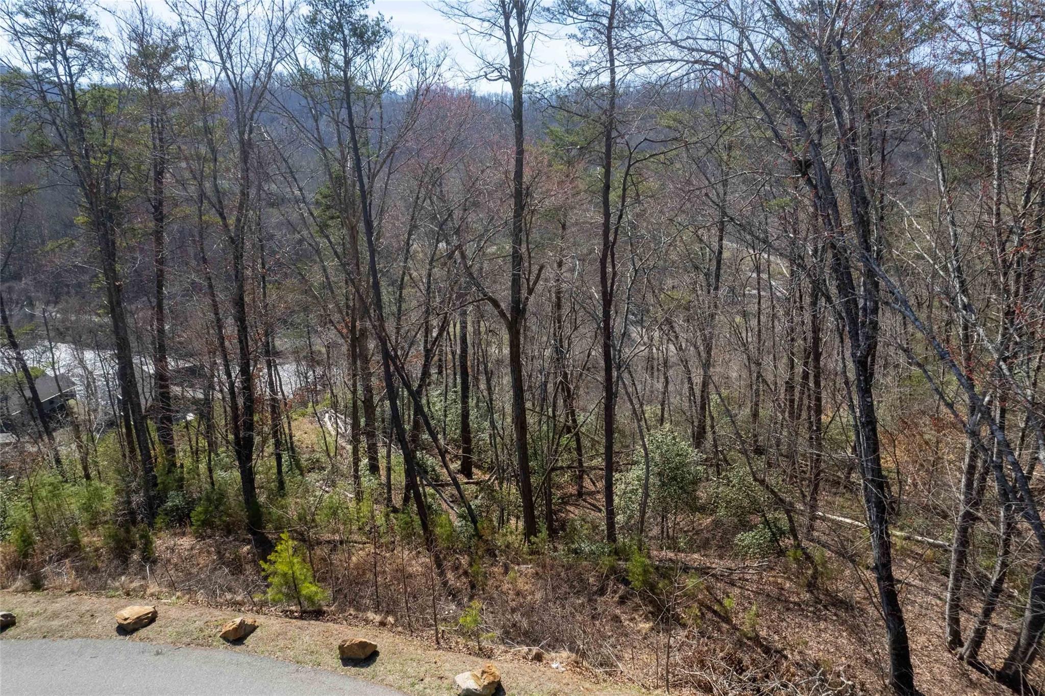 00 Rock Moss Drive Property Photo 1