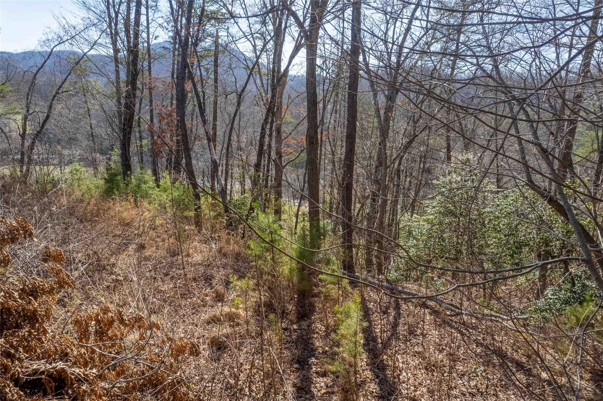 00 Rock Moss Drive Property Photo 2