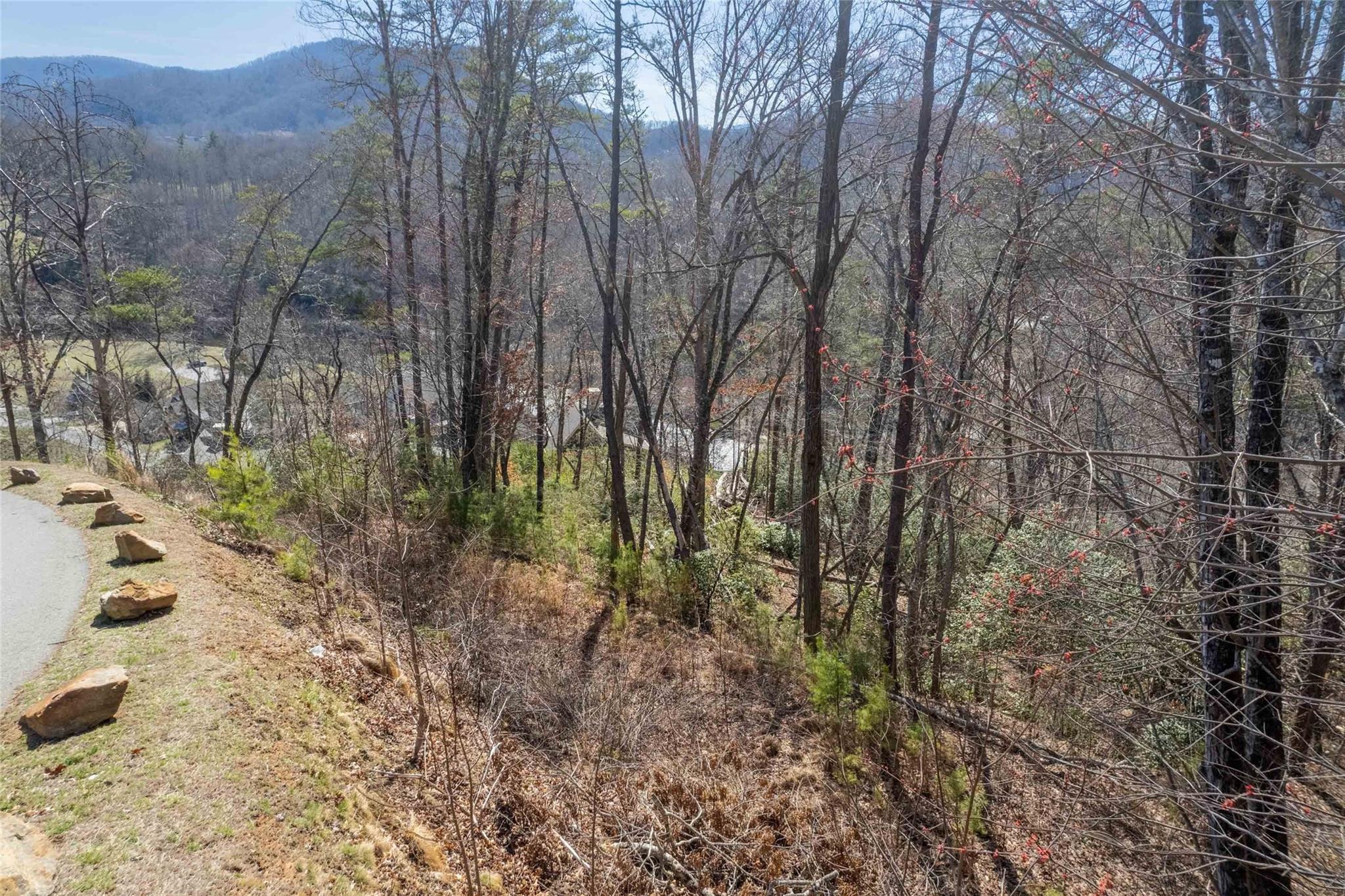 00 Rock Moss Drive Property Photo 3