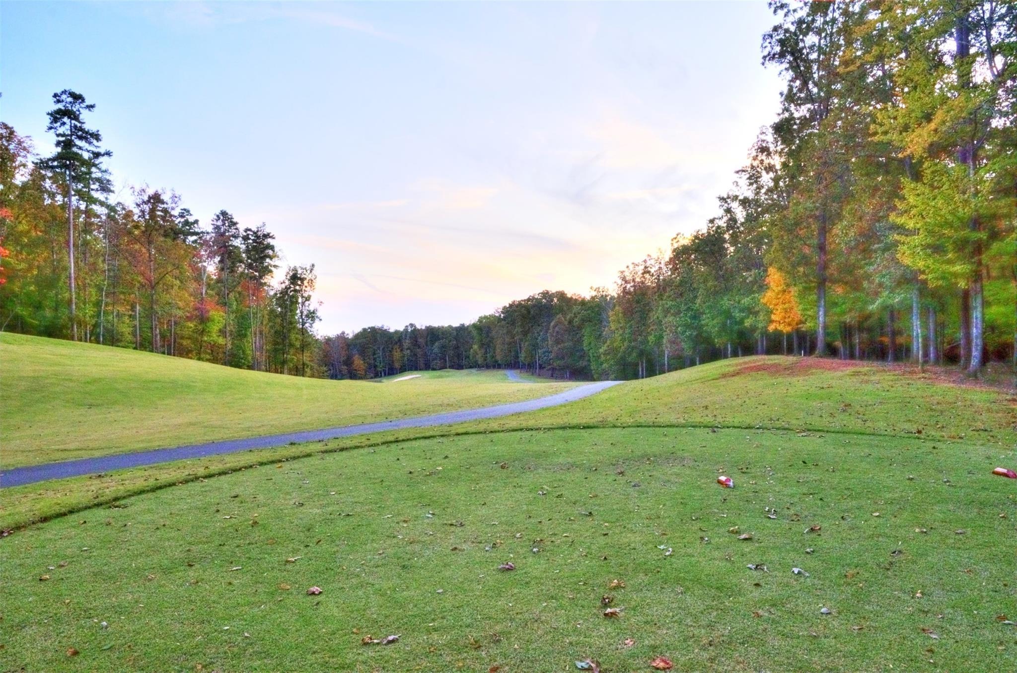 176 Shagbark Court Property Photo 7