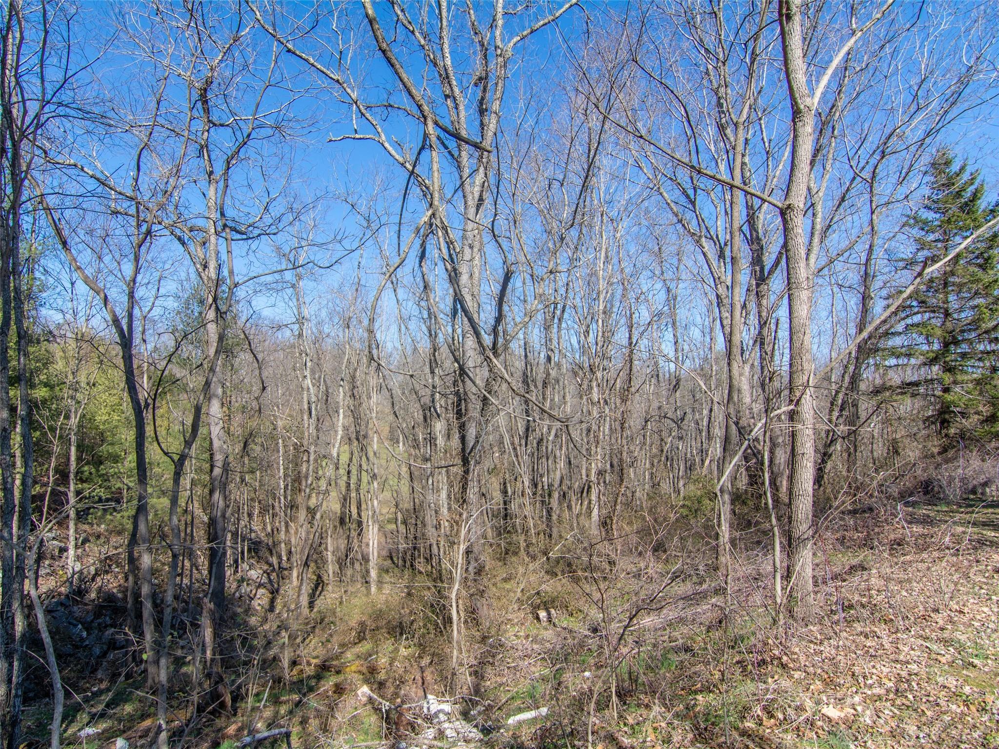 000 Russ Avenue Property Photo 19