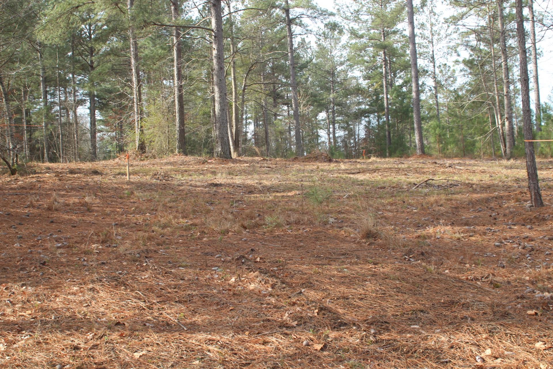 1379 Scenic Lane Property Photo 1