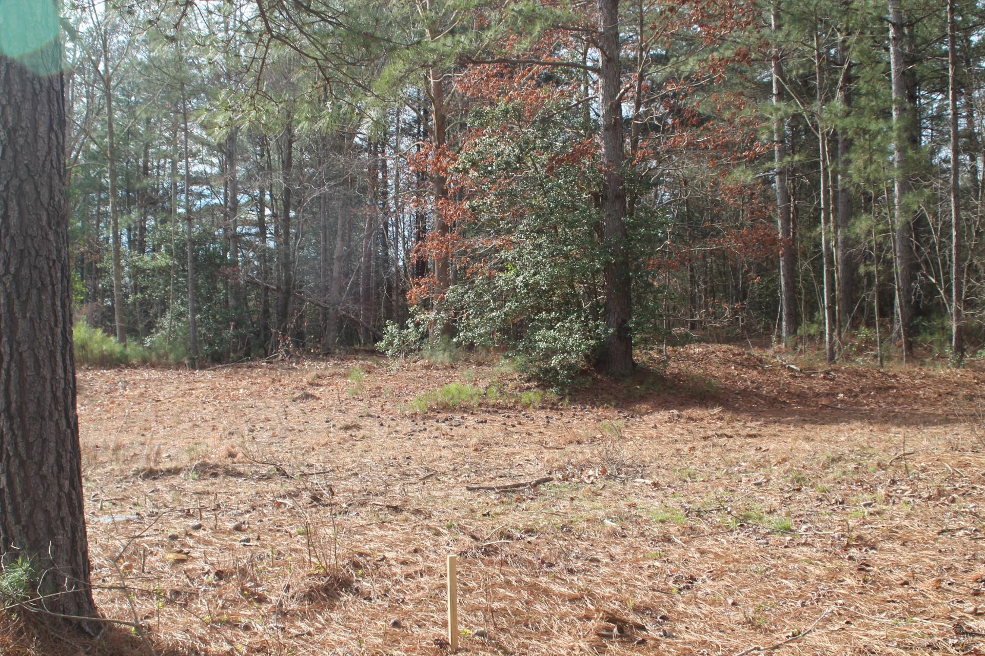 1379 Scenic Lane Property Photo 3