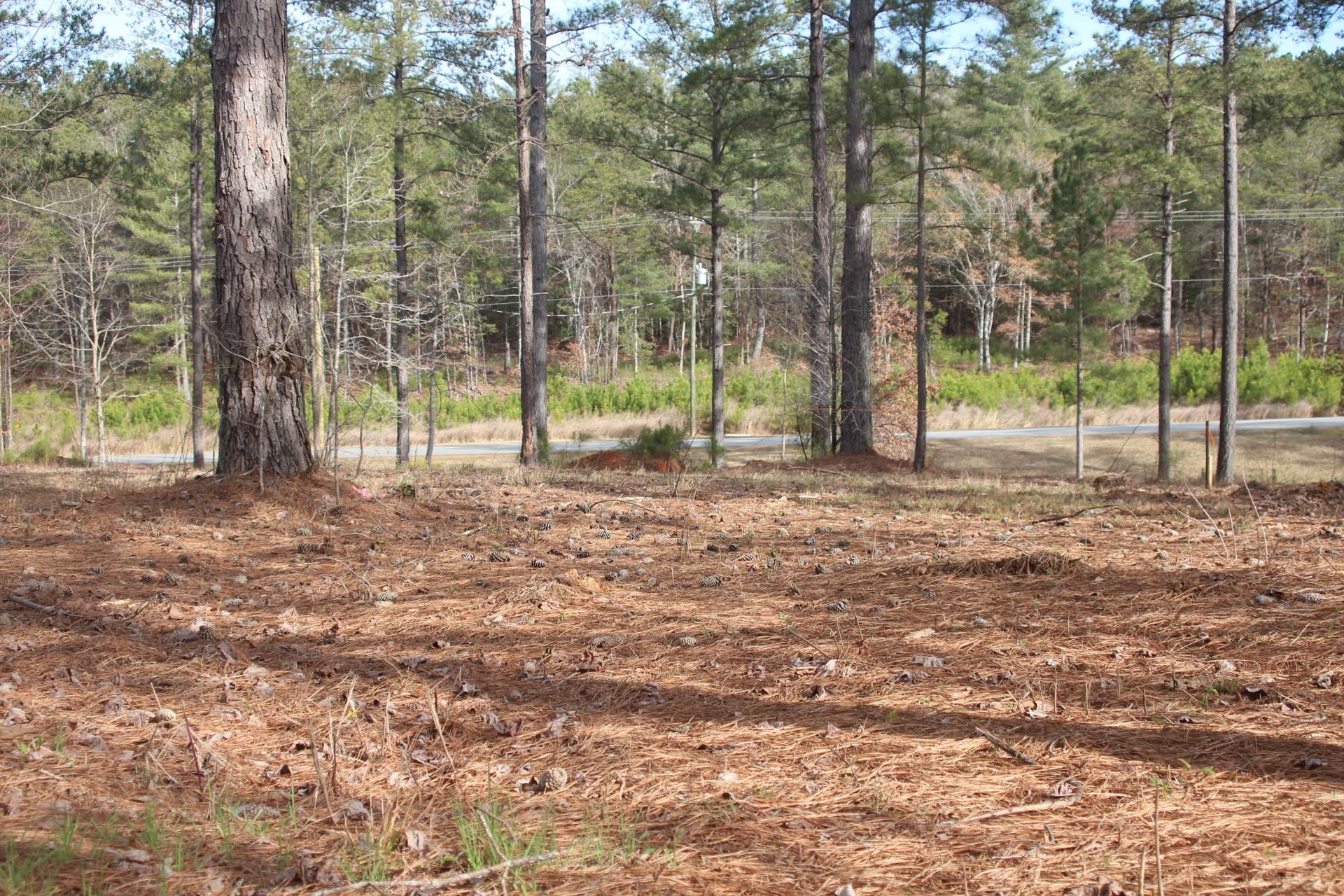 1379 Scenic Lane Property Photo 4