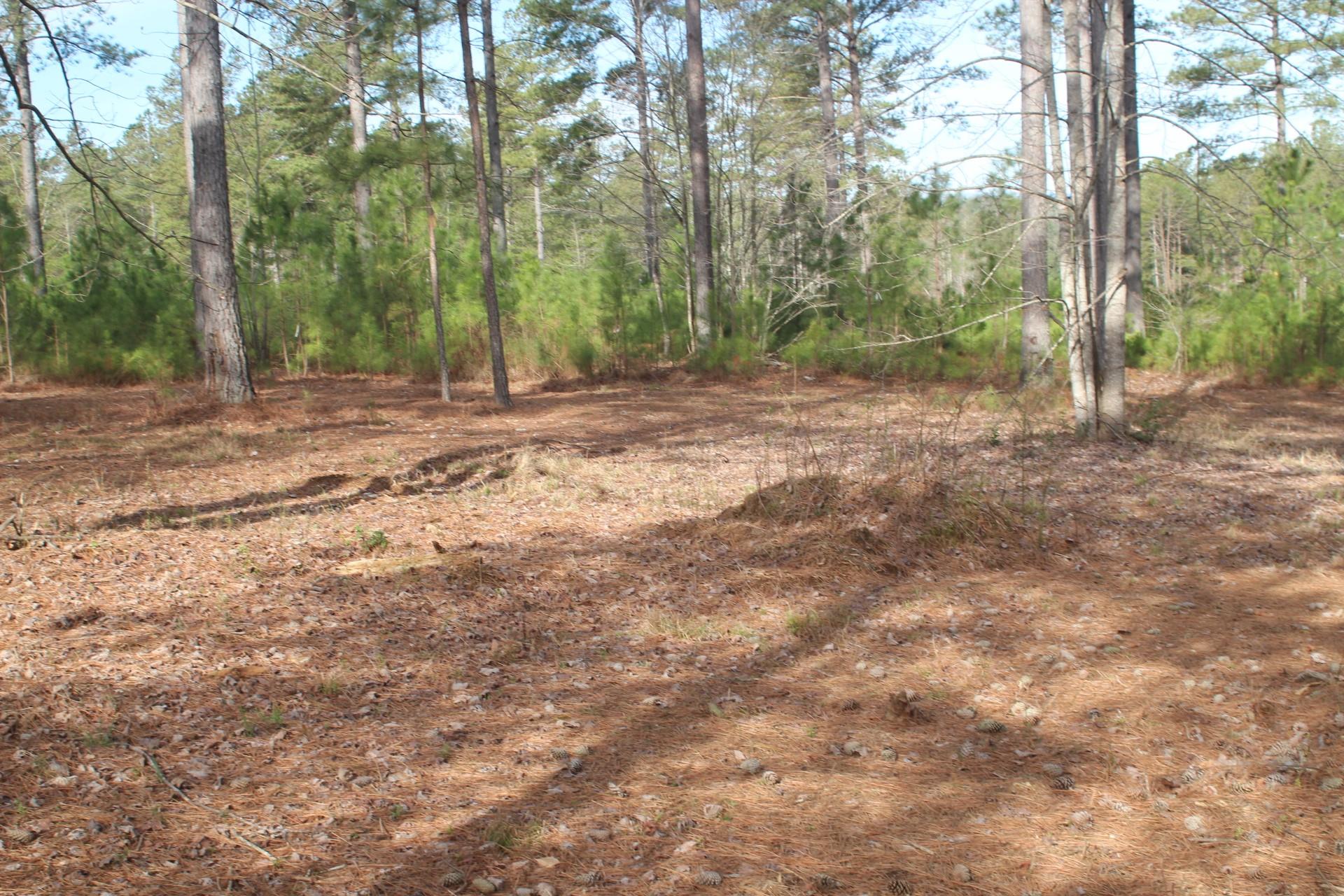 1379 Scenic Lane Property Photo 5
