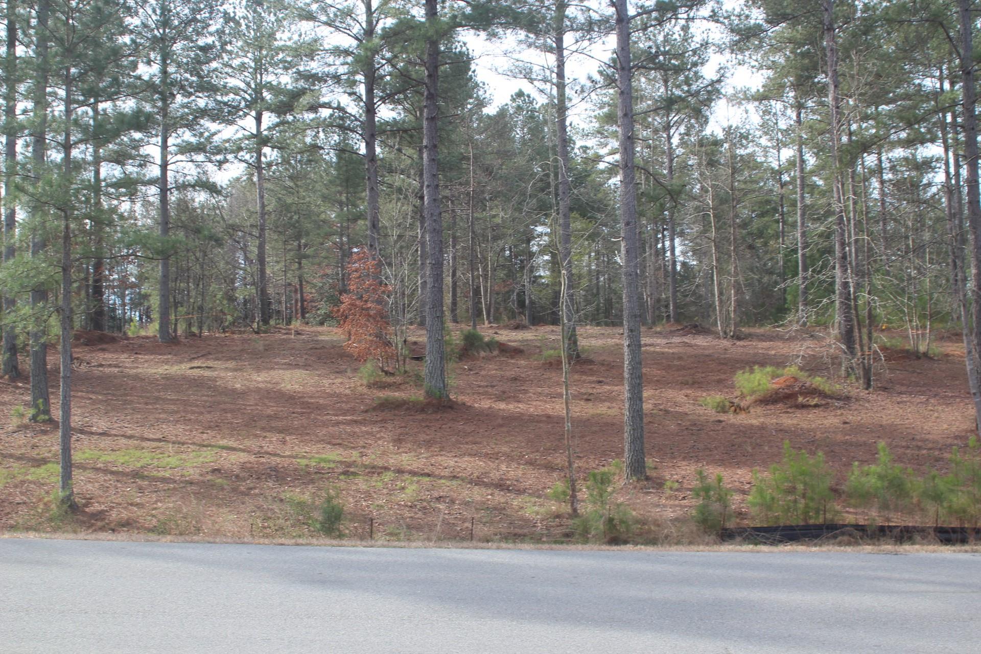1379 Scenic Lane Property Photo 25