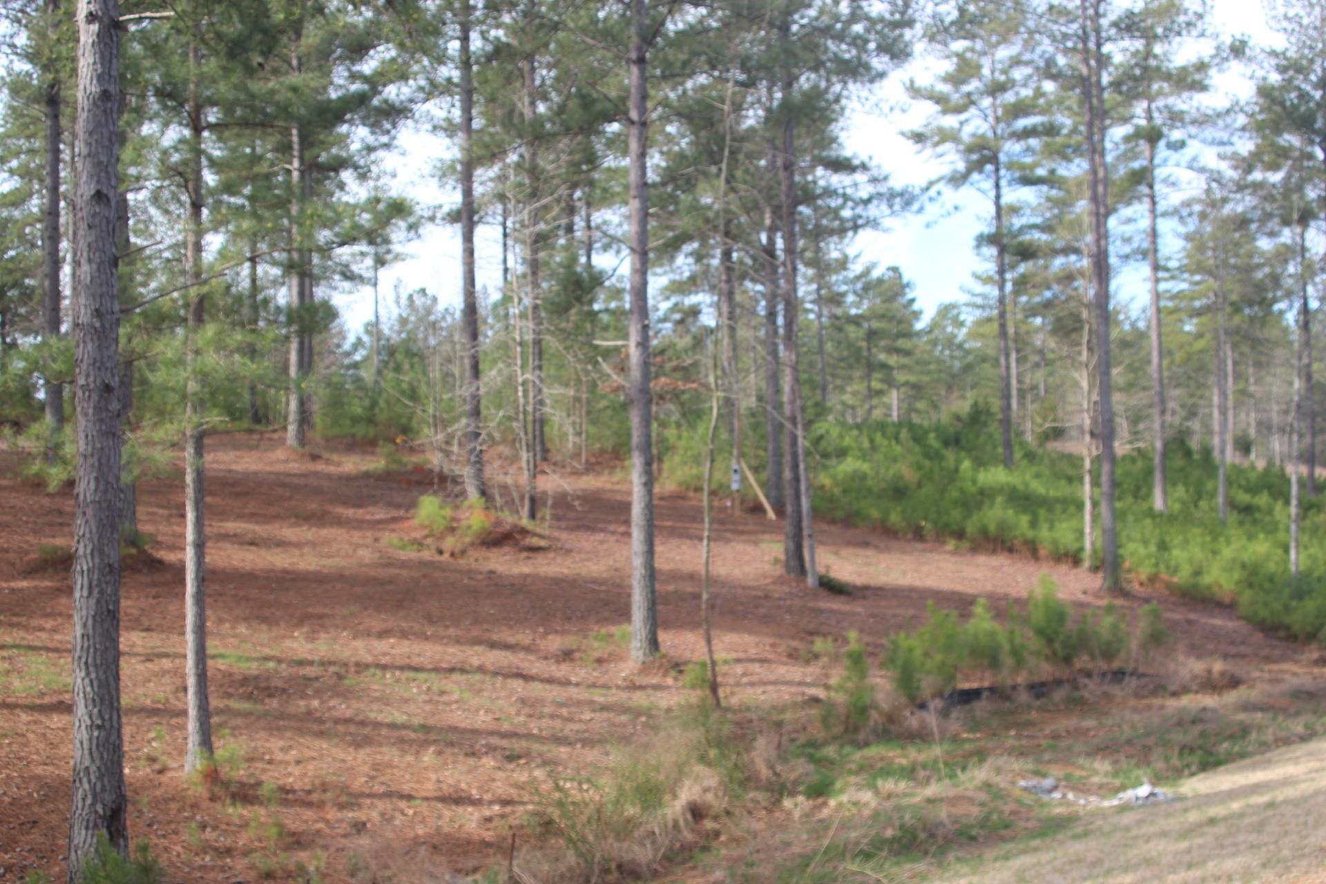 1379 Scenic Lane Property Photo 26