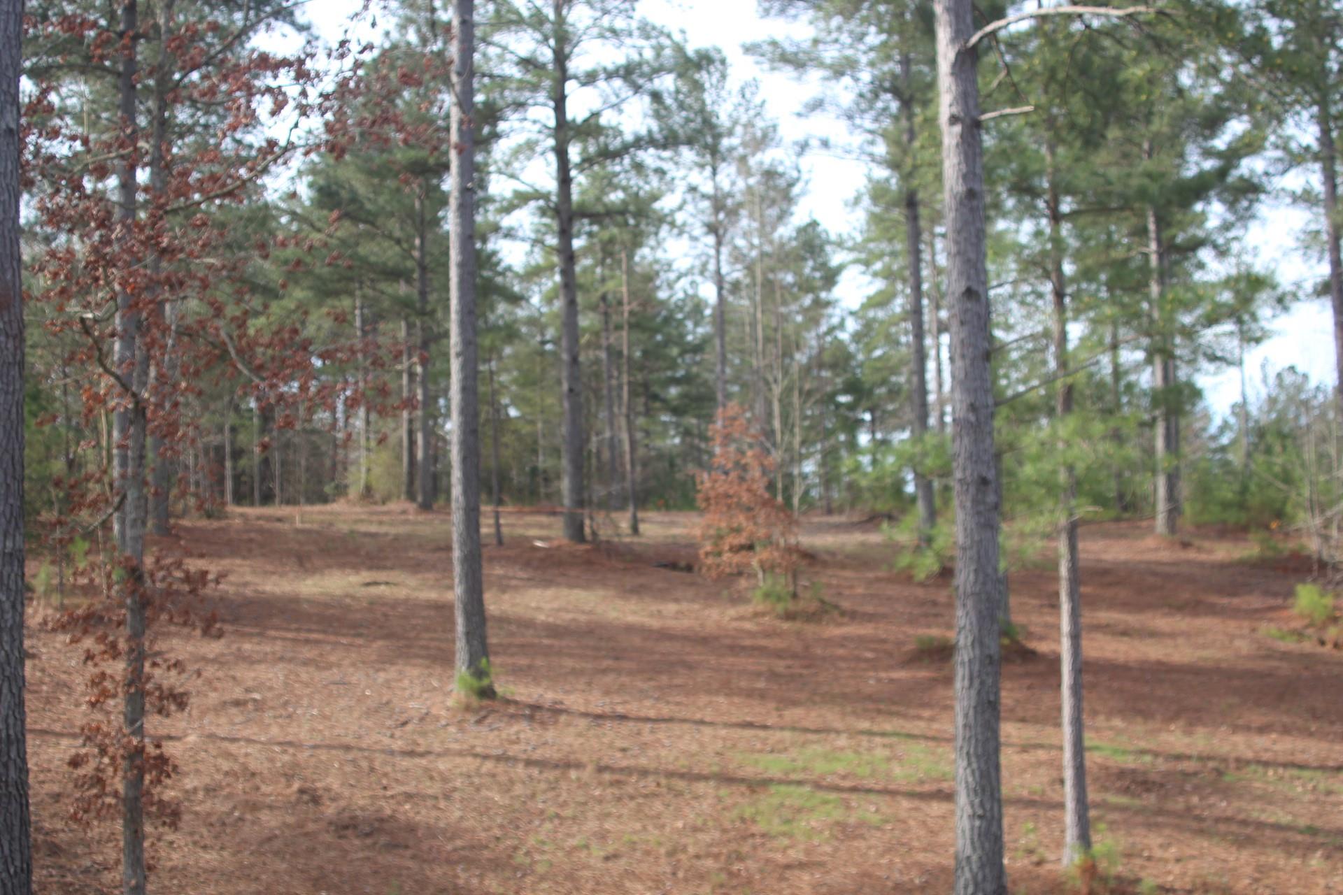 1379 Scenic Lane Property Photo 27